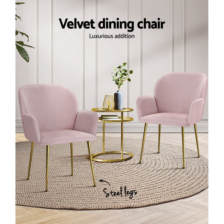 Chair Kingdom Dining Chairs Set of 2 Velevt Pink Kynsee